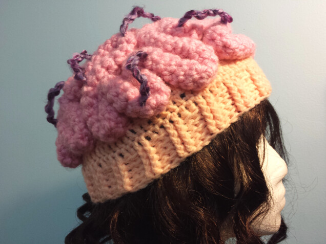 Detailed image 1 of brainstorm hat