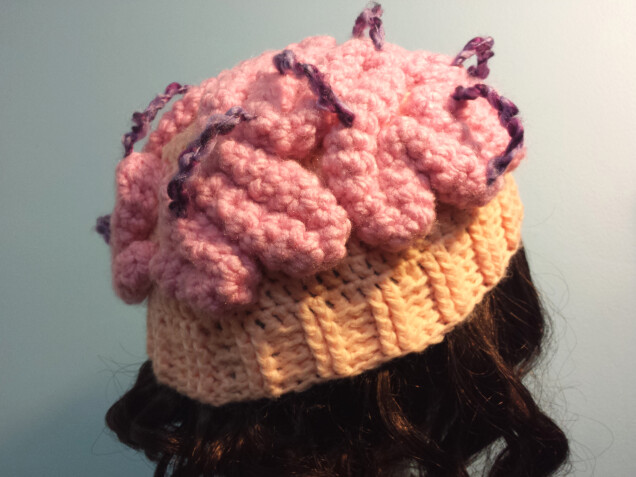 Detailed image 2 of brainstorm hat